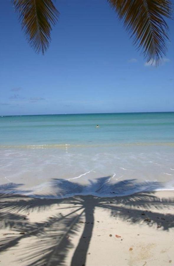 T2 Les Pieds Dans L'Eau Face A La Mer Des Caraibes Sainte Luce - Trois Rivieres ภายนอก รูปภาพ
